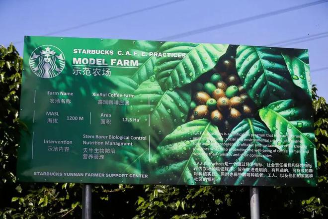 克选择了一条不喧哗的路pg电子试玩在中国星巴(图5)